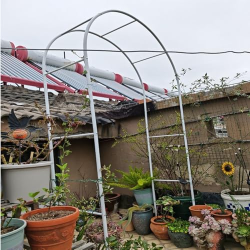 Support pour vigne en métal ajustable arche de jardin contre l'encombrement