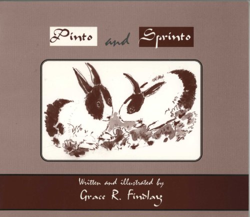 Pinto and Sprinto