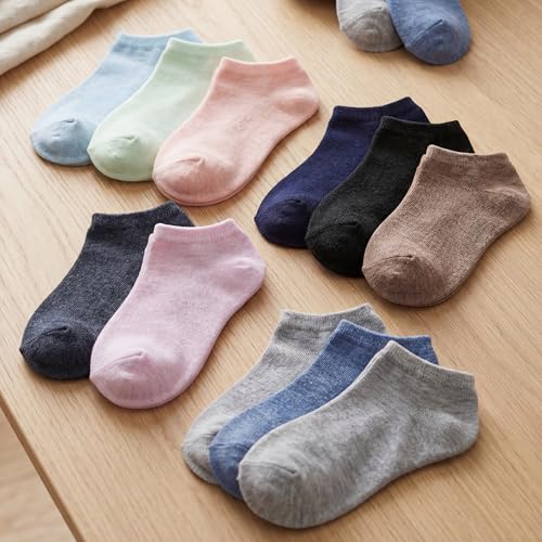 Image of Tipi Toe Women's 20 Pack Colorful Low Cut Socks - Lightweight, Breathable Design for All-Day Comfort Sizes 9-11 /10-13
