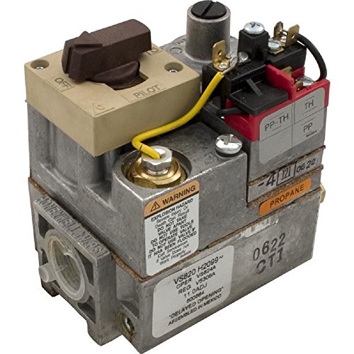 Raypak 003899F Millivolt Gas Valve