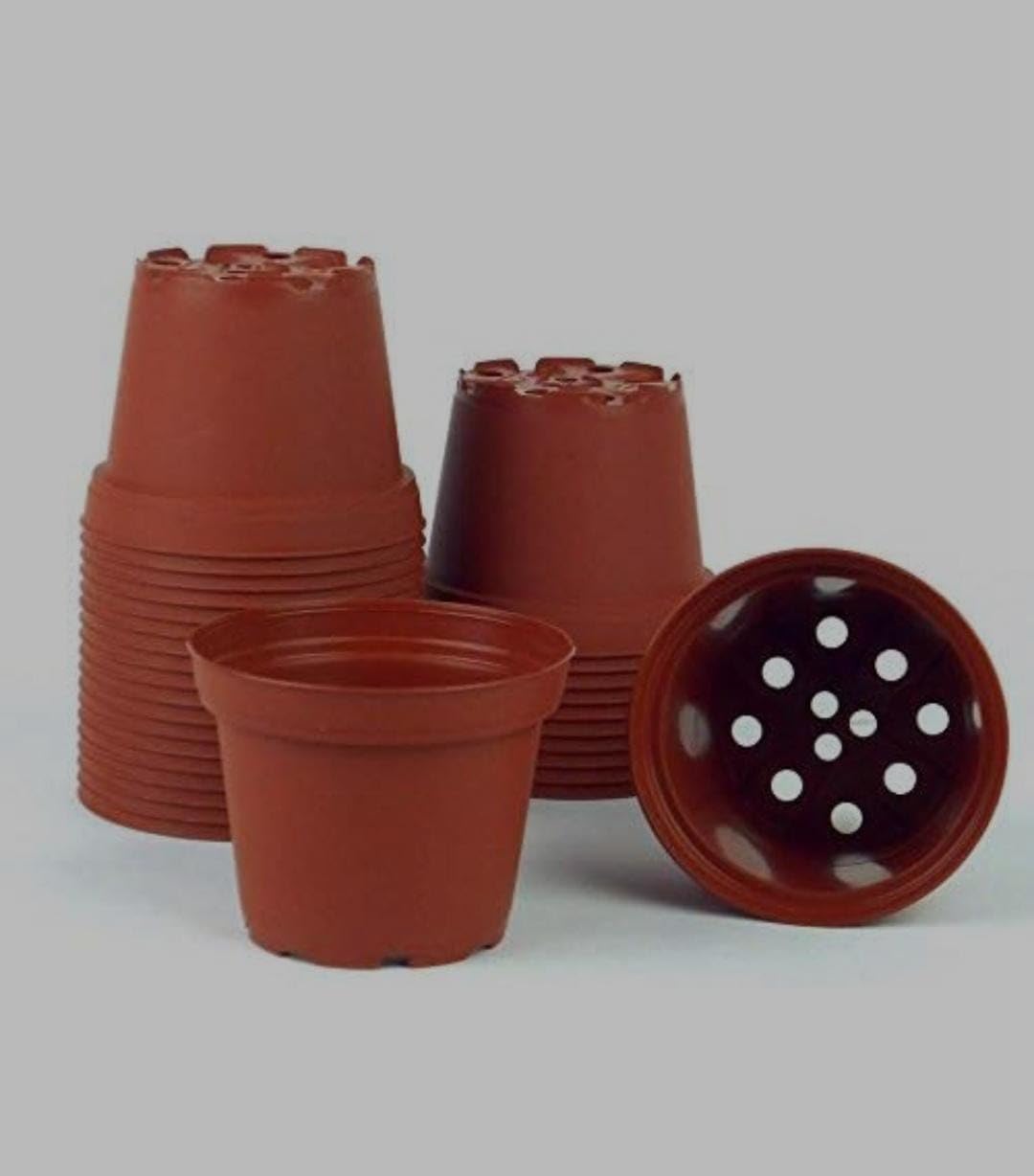 See full amazon price history chart for Dervino Plastic Nursery Pots (Brown/7 Inch) |Plant Seed Starting Pots | Garden Plant Pots for Indoors & Outdoors | Planting Pots | Plant Containers for Home Plants. (Nursery Pot Brown 7 Inch Pack 50) Dervino Plastic Nursery Pots (Brown/7 Inch) |Plant Seed Starting Pots | Garden Plant Pots for Indoors & Outdoors | Planting Pots | Plant Containers for Home Plants. (Nursery Pot Brown 7 Inch Pack 50) (B0D1ZB8LXW) Amazon Price History, Amazon Price Tracker