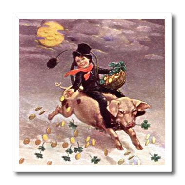 【格安，定番人気】 Vintage Iron on transfer FLY アイロン プリント ビンテージ