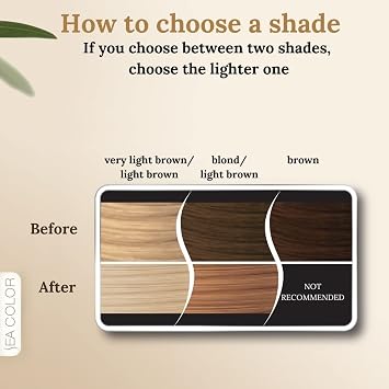 Sea Color Home Colorist Set Saç Boyası 10.0 Işıltılı Sarı Shınıng Blonde
