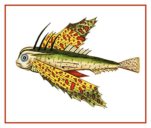 Orenco Originals Fallour's Renard's Tropical Fish 40 Counted Cross Stitch Pattern