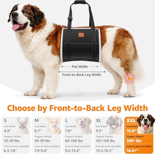 Image of LOOBANI Dog Sling for Large Dogs Hind Leg Support, Portable Dog Lift Harness for Back Legs, Comfortable Leg Support Assistance for Elderly Dogs with Hip, ACL Brace, Senior, Injured