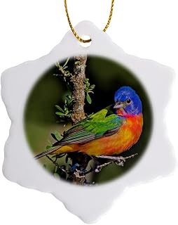 3 inch Snowflake Porcelain Ornament - Painted Bunting Foraging in Brush Country Near The Rio Grande, Texas. Fauna