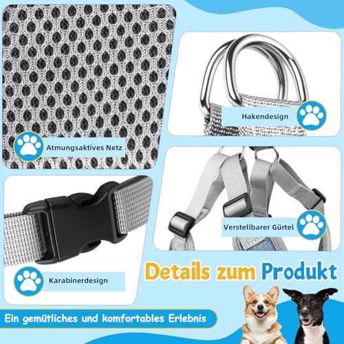 3 Stück Hundegeschirr und Leine Set, Verstellbares Brustgeschirr, Reflektierendes atmungsaktives Hundegeschirr mit D-Ring, Hundegeschirrs Set für Welpen, Kleine Hunde