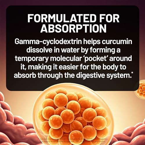 NatureWise Turmeric Curcumin 1000mg High Absorption Supplement, 60 Capsules - image 6
