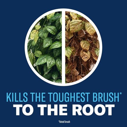Image of BioAdvanced Brush Killer Plus, Ready-to-Spray Weed Killer, 32 oz a€ inch Kills Tough Brush Roots & Poison Ivy