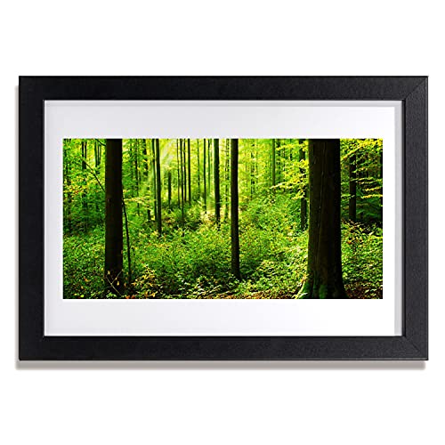 Affiche encadrée 30x20 cm cadre en MDF murale photo image vert