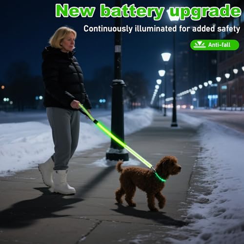 Behogan LED Hundeleine, 1.2M Wasserdicht Nylon LED Hundeleine, USB Wiederaufladbar Lichtfunktion Hundeleine Reflektierend, Clip Lampe für Nächtliche Spaziergänge (Grün)