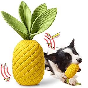 Rmolitty Hondenspeelgoed, interactief hondenkauwspeelgoed voor agressieve kauwers, ananas super duurzaam rubber piepende speelgoed voor grote middelgrote honden (ananas)