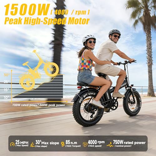 48/52V 15.6/25/40AH Fat Tire Electric Bike for Adults,