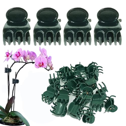 Plant Clips Orchid Clips Plants Orchid Support Clips 30Pcs Flower Vine Clips for Supporting Stems Vines Stalks Climbing Plant Grow Upright (Green 0.6x0.86in)