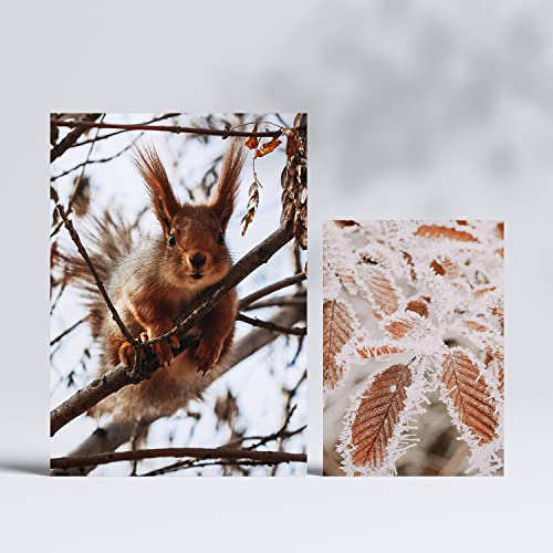 Nacnic, 6 sets of photography Prints Animals and Snow, Modern decorative Prints for home wall room, collage, mural, A3 and A4 - Image 2