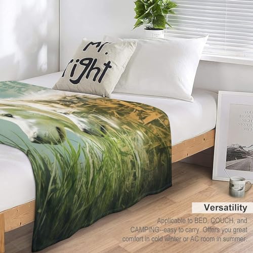 Couverture douce et chaude motif loup idée cadeau cocooning