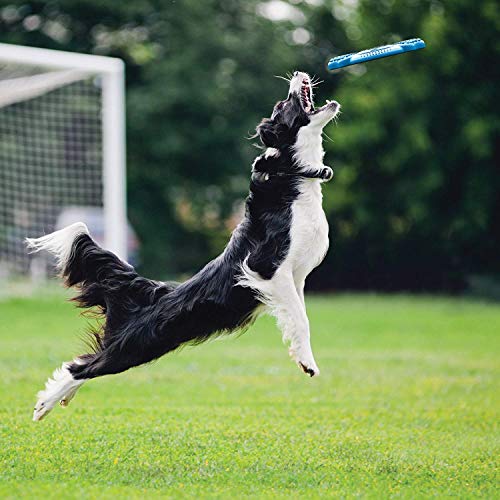Image of The Pets Company Interactive Frisbee Tug Dog Fetch Toy for Small & Medium Dog Breeds