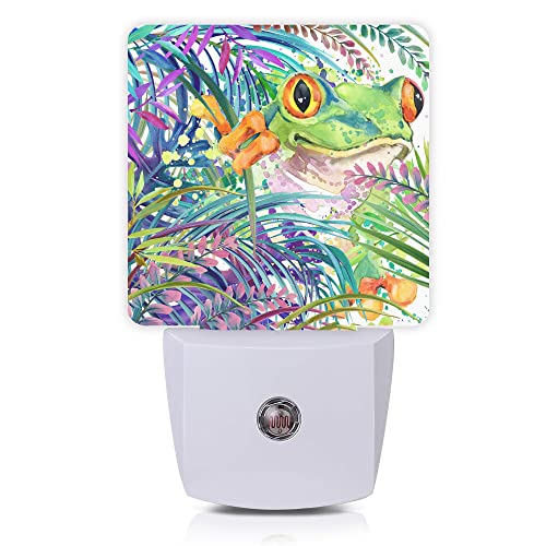 Image of Cute Frog Night Light,Green Tropical Forest Night Lights Plug into Wall for Boys Girls, Led Lights for Stairway /Hallway /Bedroom 0.5W Nightlight Sleep Friendly