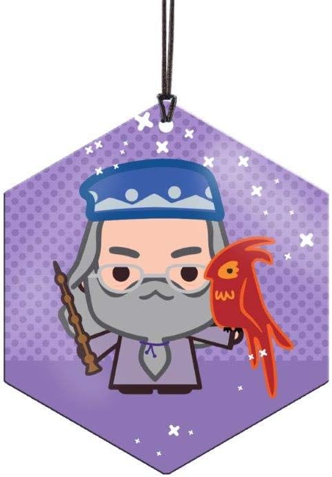 Trend Setters Ltd. – Harry Potter - Dumbledore and Fawkes Phoenix – Hexagon Metal Hanging Decoration – Lightweight Aluminum – Officially Licensed Collectible– Image Fused Permanently into Metal