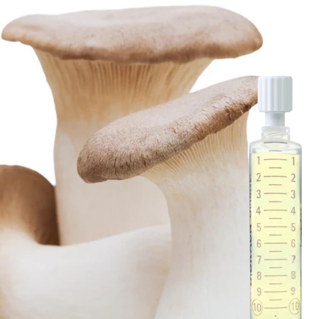 Flüssigmyzel 5er Set 10 ml – Pilzzucht Set mit Austernseitling, Kräuterseitling, Rosenseitling, Limonenseitling und Igel-Stachelbart – Myzelspritzen für Körnerbrut und Substrate