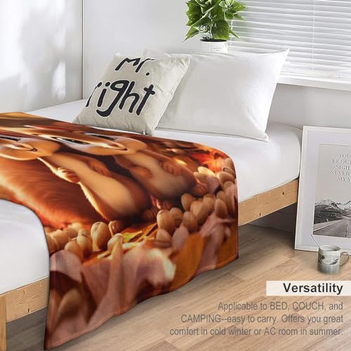 Couvertures de canapé écureuil pour cocooning au salon et nuits douillettes