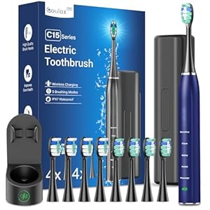 Elektrische Zahnbürste Schallzahnbürste für Erwachsene - Whitening Ultraschall Zahnbürste Elektrisch mit Reiseetui und Ladestation, Electric Toothbrush Mit 8 Bürstenköpfe, 5 Putzmodi, 40000VPM, blau