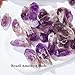 Apengshi 0.97 lb (440g) Natural Amethyst Crystal Points Irregular Rough Crystal Stone Raw Crystal Gemstones Bulk Chakra Stones Meditation Reiki Collect Handmade DIY