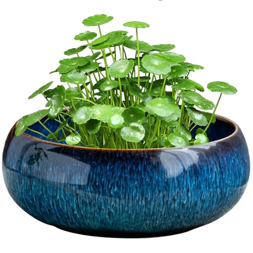 NASSMOSSE Pot de Fleurs en céramique pour Plantes hydroponiques, Bol de Lotus d'eau, Pot Fleurs Multi-Usage pour Plantes succulentes, et Aquatiques (16, 5 x 6, 5 cm)