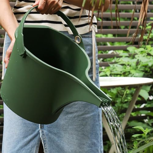 Bec long pour arrosage de précision des succulentes et bacs de fleurs