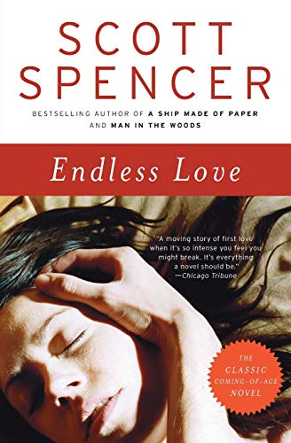 Endless Love: A Novel Endless Love: A Novel
