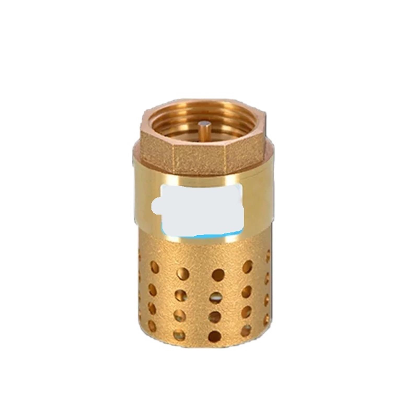 Uyzndkvsi Brass Strainer 1/2" 3/4" 1" 1-1/4" 1-1/2" 2" 2-1/2" Brass Check Valve Non-Return With Steel Strainer Filter(,1-1/2")