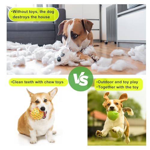 HMXLJJY 24 Stück Welpenspielzeug-Set, kleines Hundespielzeug, Welpen-Zahnspielzeug mit Aufbewahrungsbox, Welpen-Seilspielzeug, Kauspielzeug, Hundespielzeug für kleine und mittelgroße Hunde zum Spielen