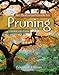 An Illustrated Guide to Pruning