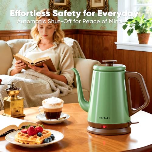 DmofwHi 1.0L Stainless Steel Kettle