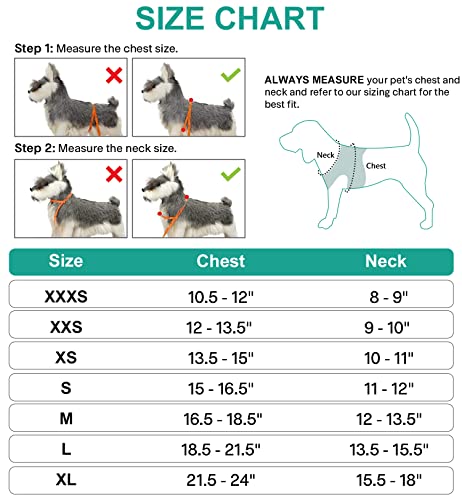 Joytale Hundegeschirr, Reflektierend Weich Gepolstert Hunde Geschirr, Air-Mesh Atmungsaktiv Brustgeschirr für Kleine Mittelgroße Hunde, M, Türkis