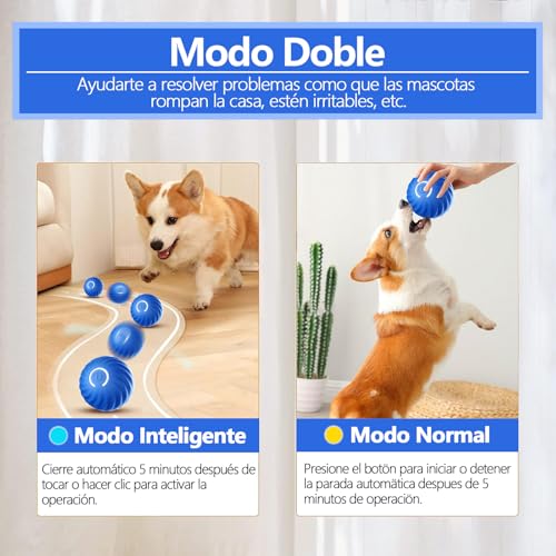 Gimnasios Y Tapetes, Toy Imagen adicional