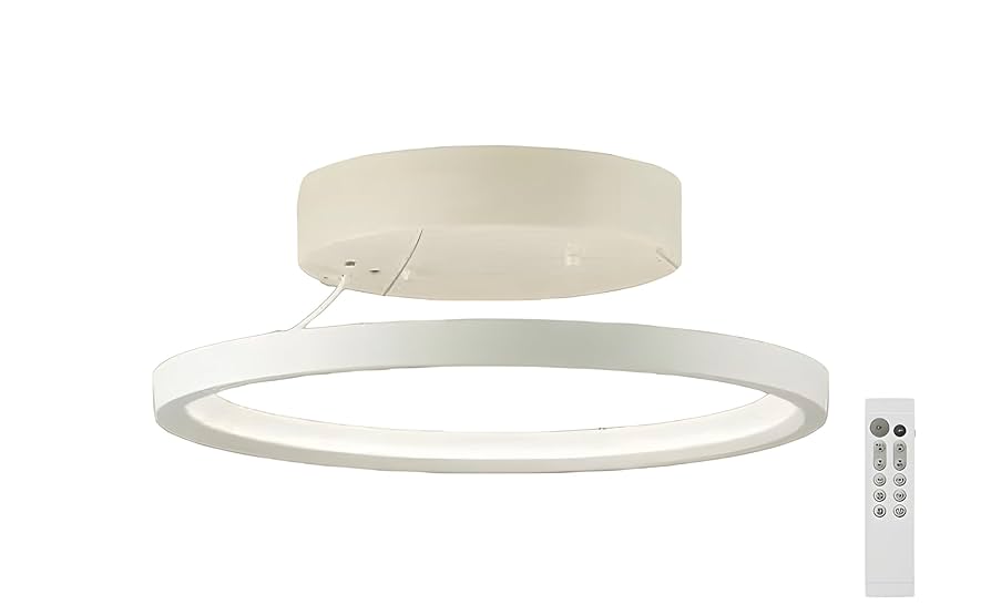 Amazon | 大光電機 DAIKO LEDシーリングライト LED内蔵 リモコン