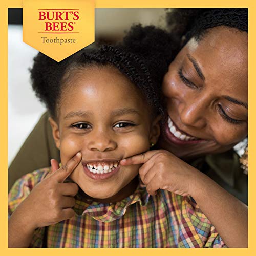 Burt\'s Bees Kids Toothpaste, Fluoride Free, Fruit Fusion, 4.2 Oz, Pack of 4