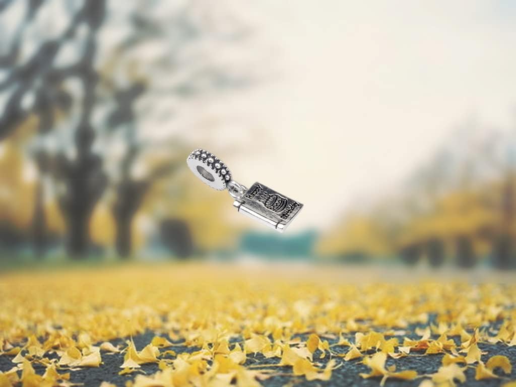 Happy Birthday Card Dangle Charm 925 Sterling Silver Openwork Bead for Charm Bracelets and Necklaces, Birthday Mothers Day Jewelry Gifts Women - Image 3