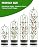 Trellis for Climbing Plants Outdoor, 6FT Garden Obelisk Rustproof PE Coated Metal Potted Plant Climbing Support, Thickened Tube Plant Tower Trellis for Clematis Vine Support Indoor (1 Pack)
