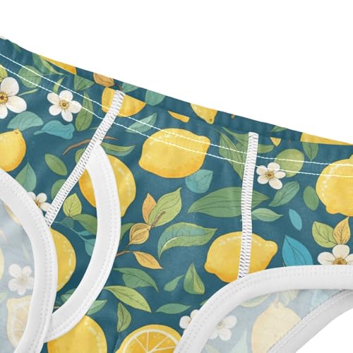 Wusikd Lemons Boys' Underwear Cotton Leaves Flowers Boys Briefs Soft Toddler Underwear 2T4