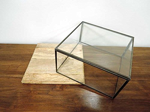 Amazon.co.jp: ガラスコレクション ディスプレイケース L ショーケース