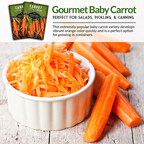 Survival Garden Seeds - Little Fingers Carrot Seed For Planting - Packet With Instructions To Plant And Grow Delicious Baby Carrots In Your Home Vegetable Garden - Non-Gmo Heirloom Variety - 1 Pack #TOP4