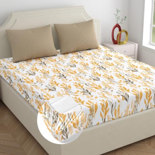 Image of Home Ecstasy 100% Cotton King Fitted Bedsheet with 2 Pillow Covers - (Size 72 x 78 inches, 140 TC, Colour - Brown)