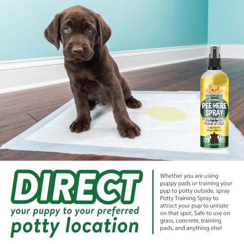 Image of Bodhi Dog Puppy Potty Training Spray System - Teaches Where to Go Potty & Where Not to - Complete Puppy Housebreaking System (Bundle)