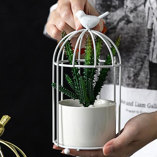 Amazon.co.jp: インテリア 鳥籠 鳥籠 陶器 オブジェ 小物入れ