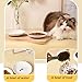 Faloyy 3PCS Ceramic Cat Bowls 2 Styles 250ml Food Bowl Non-Slip Feeding Bowls Wide Shallow Kitten Whisker Friendly 5.9x1.1