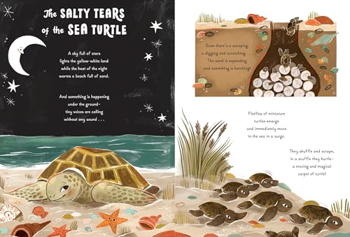 5-Minute Ocean Stories (5-Minute Discovery Stories) - Image 6