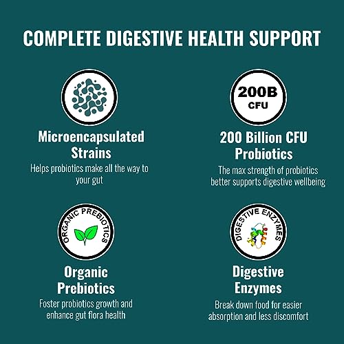 Image of UpNourish Probiotics - 200 Billion CFUs for Men and Women, 15 Clinically Studied Strains, Prebiotics & Enzymes - 60 Vegan Capsules