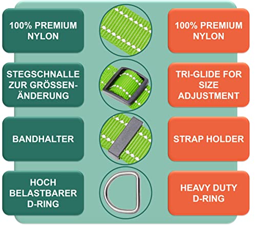DEY - Premium Hundehalsband Nylon, Reflektierend, Verstellbar, für Kleine u. Große Hunde, viele Farben u. Größen, Hund Welpe, Hunde-Halsbänder, Katzen-Halsband, Welpen-Halsband, Grün, S